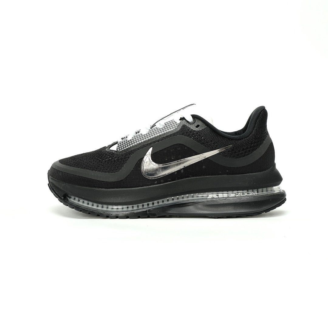 Nike Pegasus Premium Black Metallic Silver